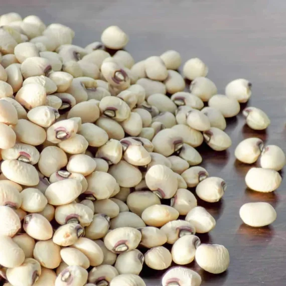 Dried Cowpea Pulses