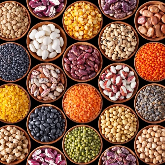 Every Pulses And Grains, Murlidhar Sons